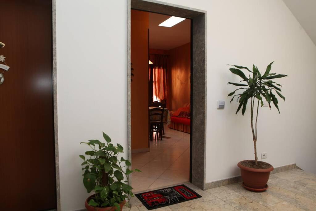 LE CASE DI CICCIO - Casa Girasole Apartamento Pantelleria Exterior foto